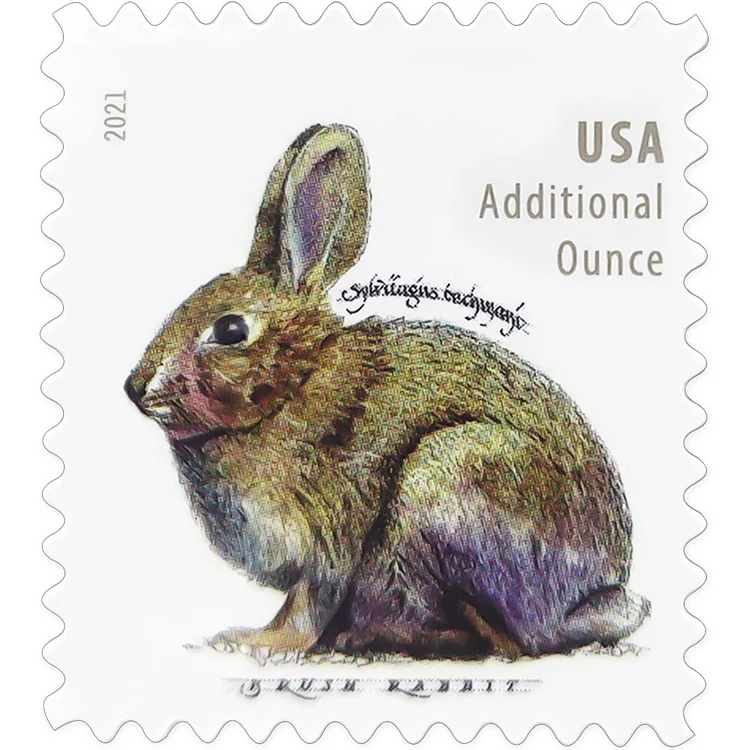 2021 Brush Rabbit Stamps - Forever Stamps