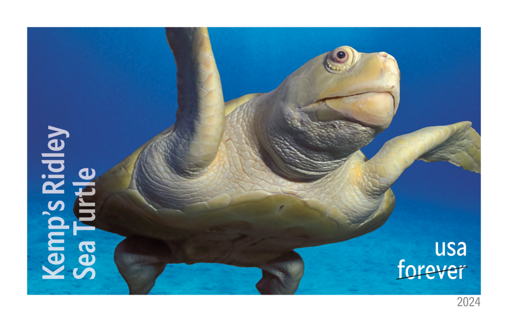2024 Protect Sea Turtles Stamps - Forever Stamps