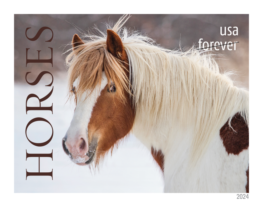 2024 Horses Stamps - Forever Stamps