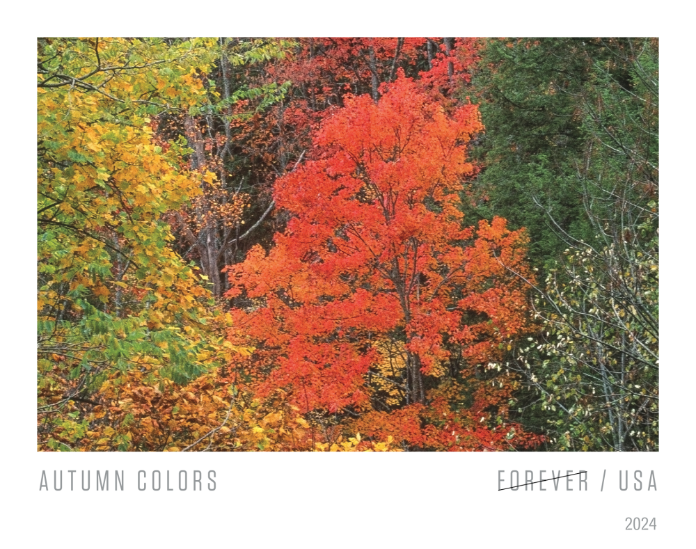 2024 Autumn Colors Stamps - Forever Stamps