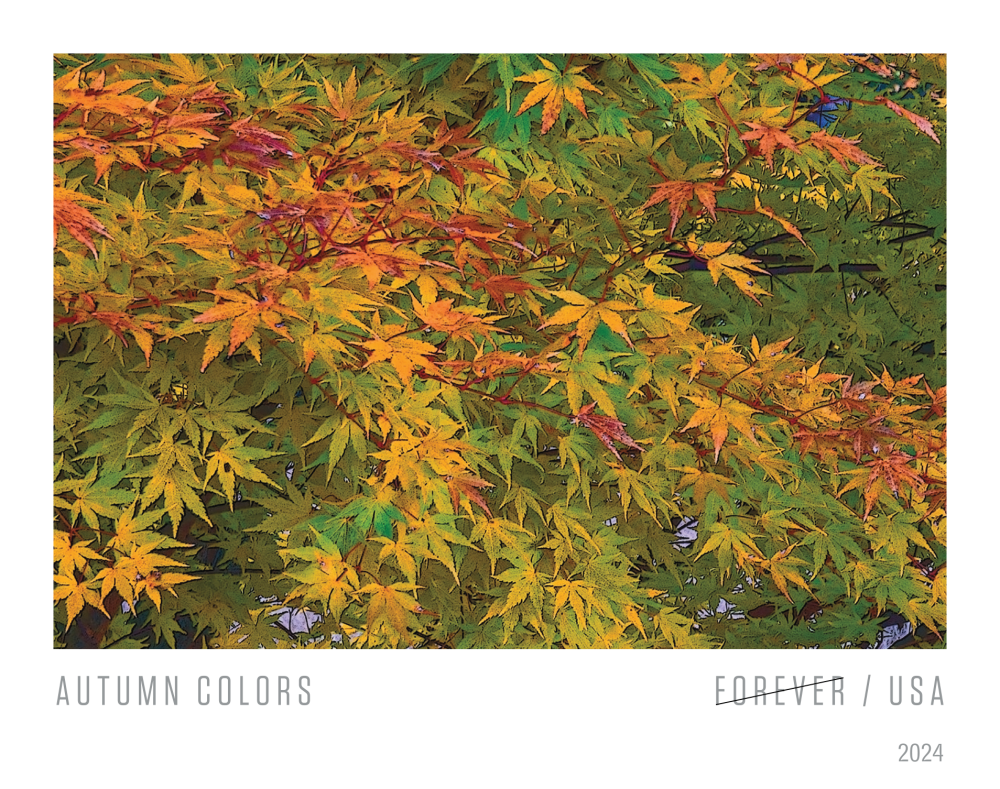 2024 Autumn Colors Stamps - Forever Stamps